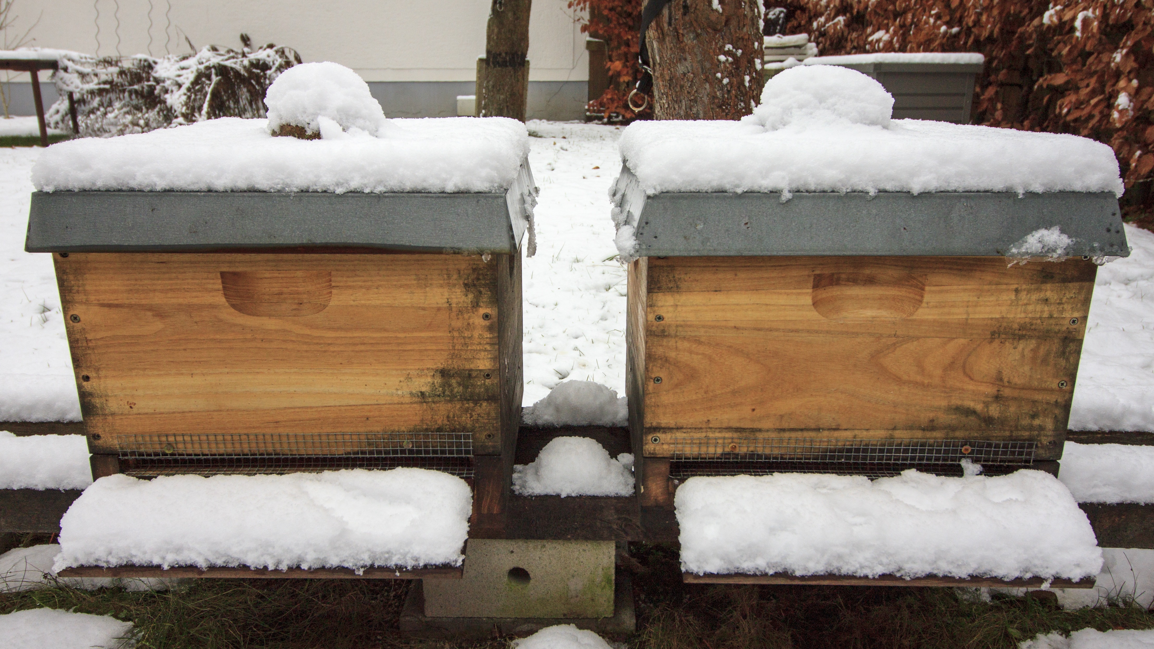Bienenstöcke im Winter